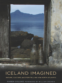 Cover image: Iceland Imagined 9780295990835