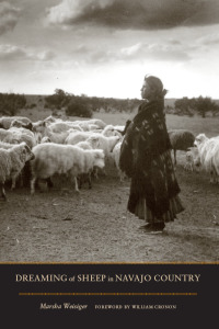صورة الغلاف: Dreaming of Sheep in Navajo Country 9780295988818