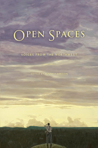 Imagen de portada: Open Spaces 9780295991078