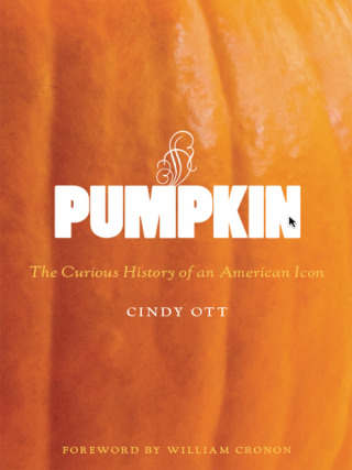 Cover image: Pumpkin 9780295991955