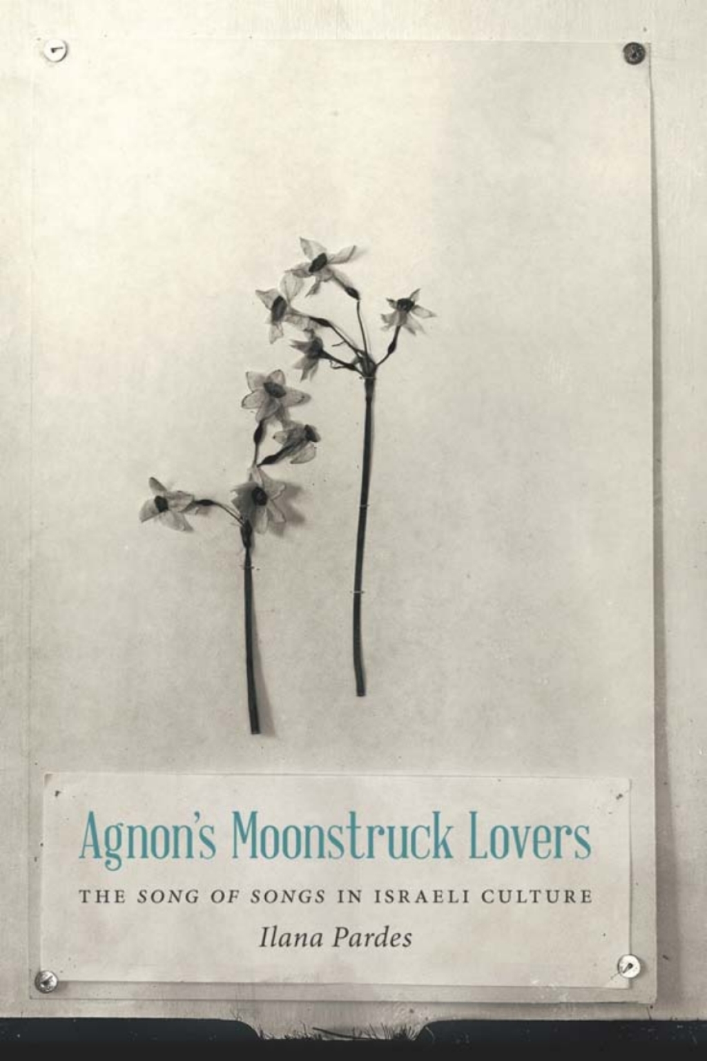 Agnon’s Moonstruck Lovers The Song of Songs in Israeli Culture