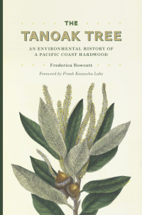 表紙画像: The Tanoak Tree 9780295994642