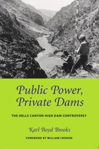 Cover image: Public Power, Private Dams 9780295985978