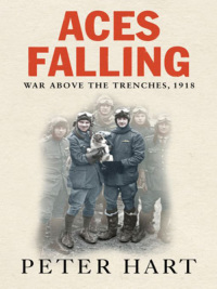Cover image: Aces Falling 9780297855705