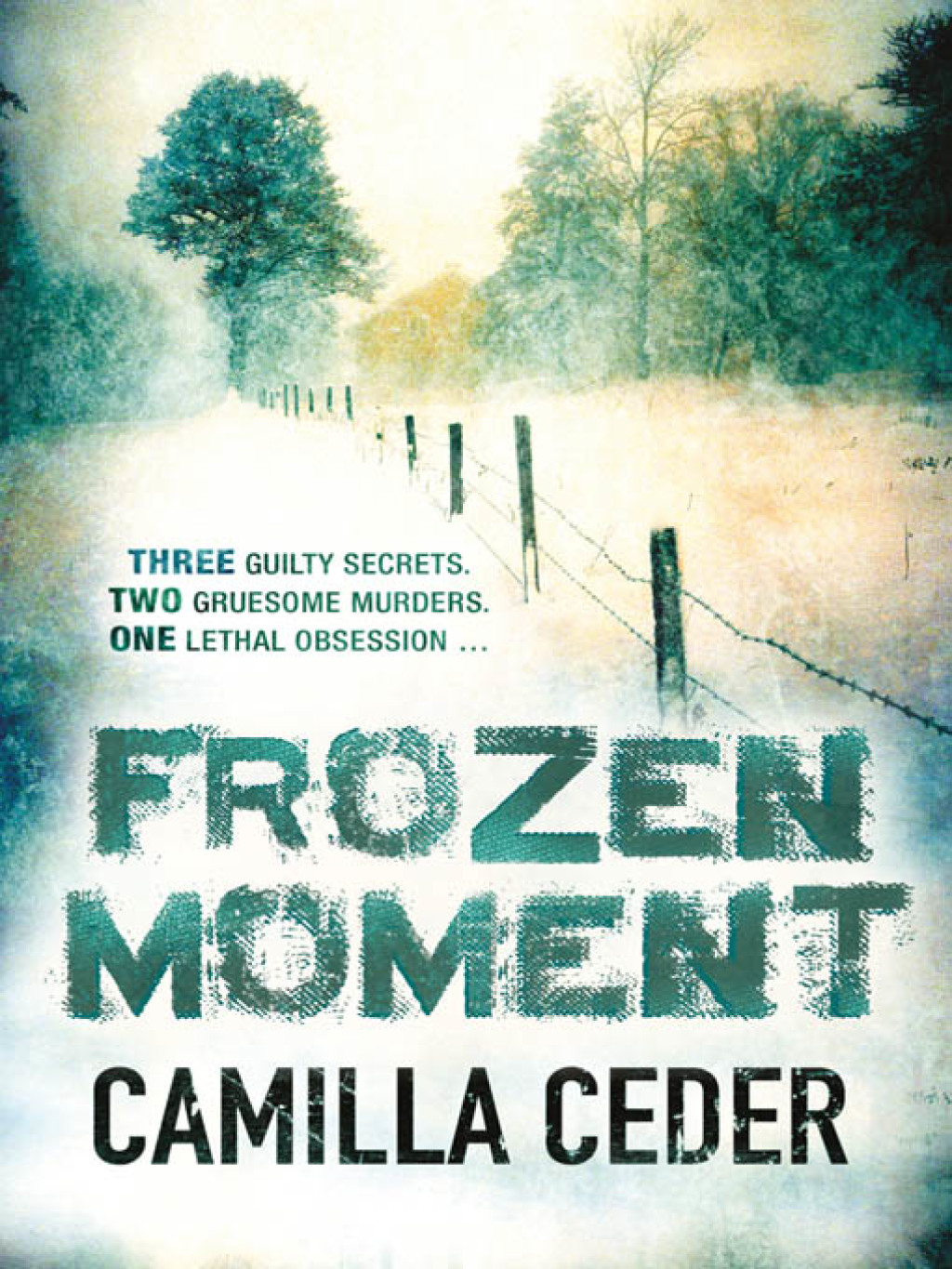 Frozen Moment ‘A good psychological crime novel that will appeal to fans of Wallander and Stieg Larsson’ CHOICE