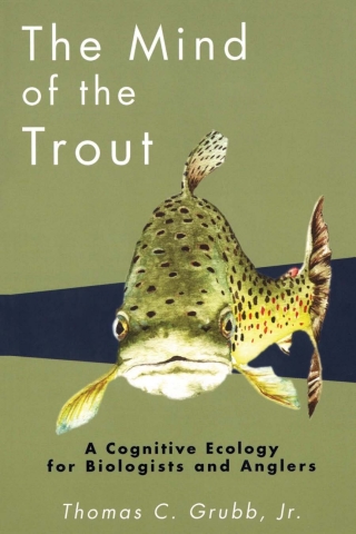 Cover image: The Mind of the Trout 9780299183745