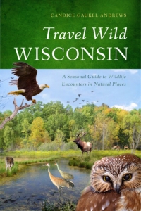 Cover image: Travel Wild Wisconsin 9780299291648