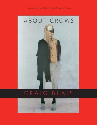 Cover image: About Crows 9780299291945
