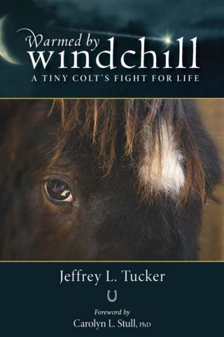 Cover image: Warmed by Windchill 9780299294045