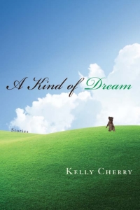 Cover image: A Kind of Dream 9780299297602