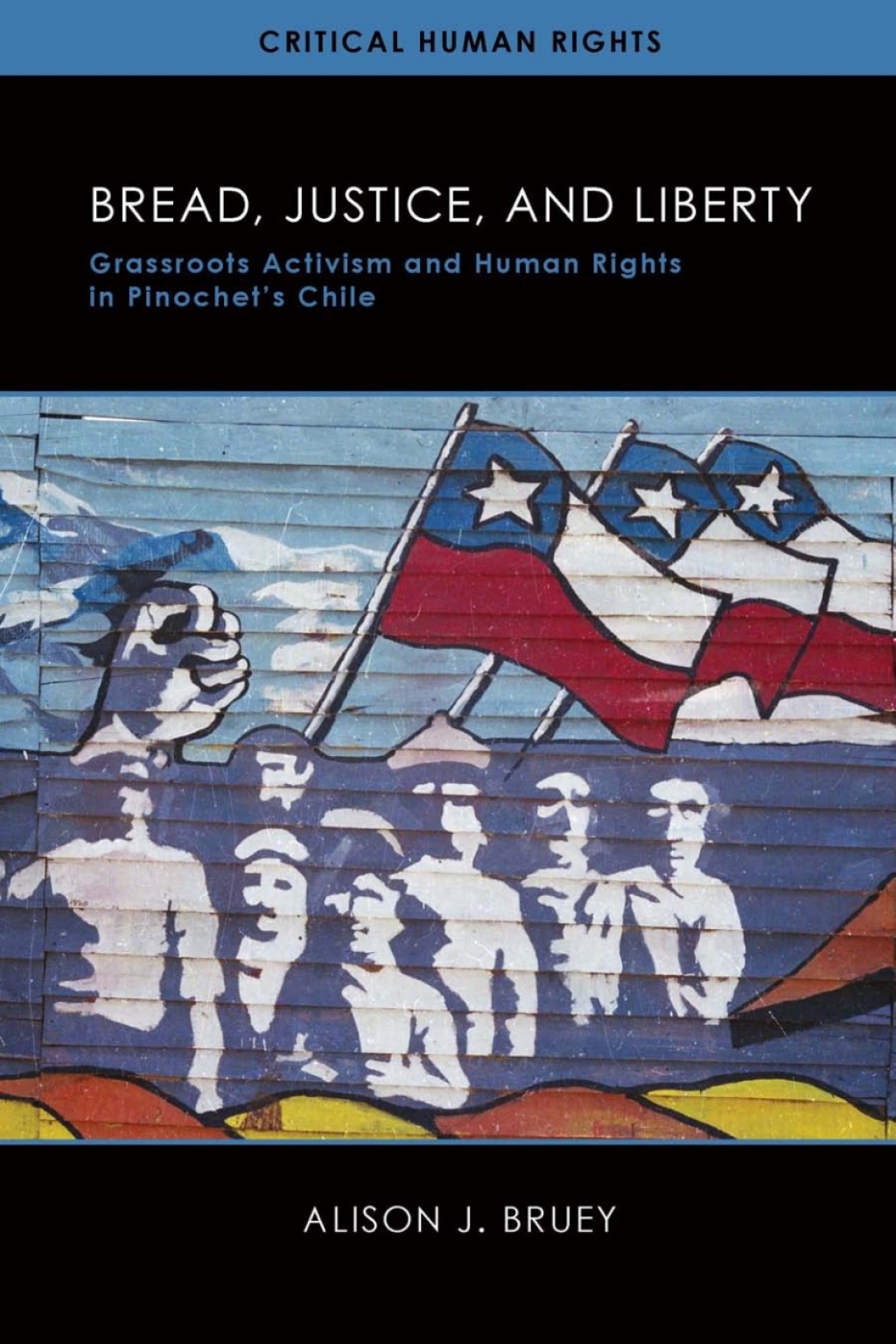 Bread, Justice, and Liberty Grassroots Activism and Human Rights in Pinochet’s Chile
