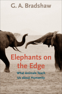 Cover image: Elephants on the Edge 9780300167832