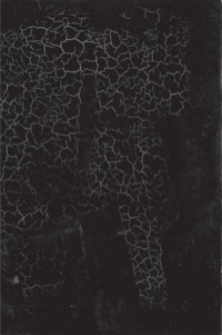 صورة الغلاف: Black Square: Malevich and the Origin of Suprematism 9780300140897