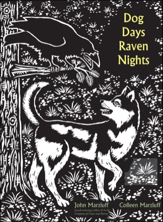 Cover image: Dog Days, Raven Nights 9780300167115