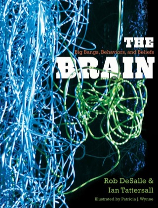Cover image: The Brain 9780300175226