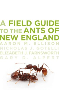 Cover image: A Field Guide to the Ants of New England 9780300169300