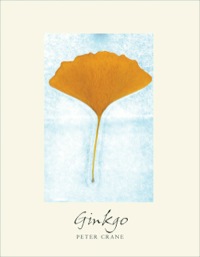 Cover image: Ginkgo: The Tree That Time Forgot 9780300187519