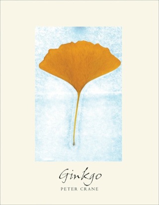 Cover image: Ginkgo 9780300187519