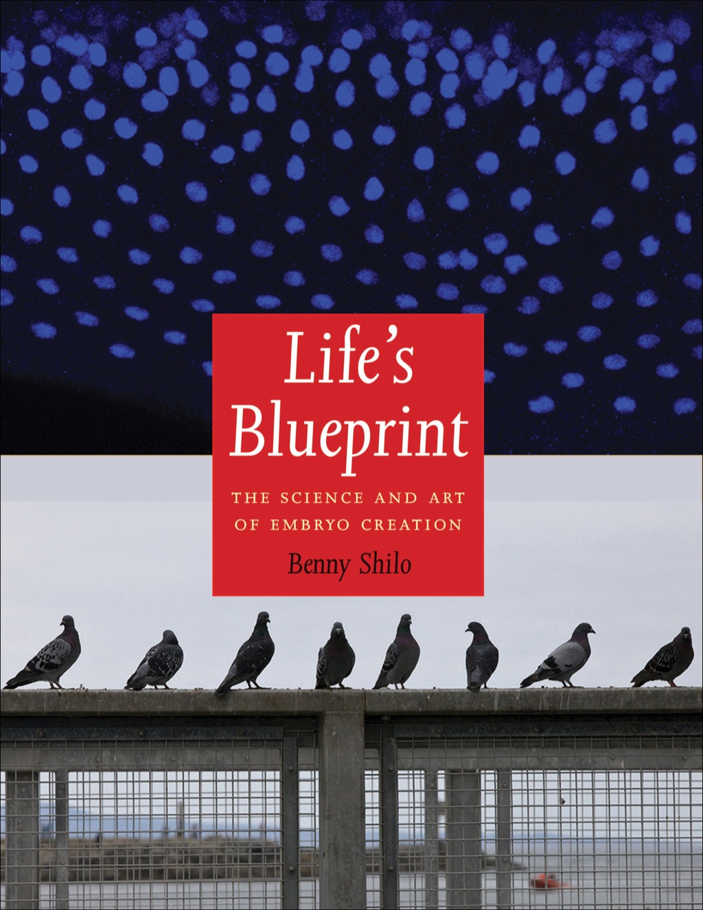 Life’s Blueprint
