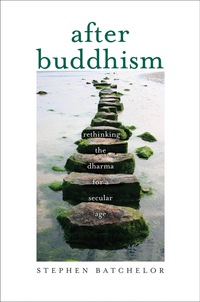 Cover image: After Buddhism: Rethinking the Dharma for a Secular Age 9780300205183
