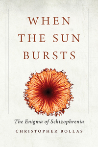 Cover image: When the Sun Bursts: The Enigma of Schizophrenia 9780300214734