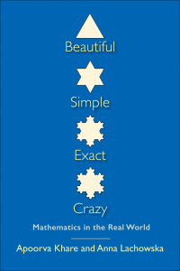 Titelbild: Beautiful, Simple, Exact, Crazy 9780300190892