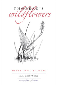Cover image: Thoreau's Wildflowers 9780300214772