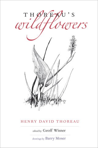 Cover image: Thoreau's Wildflowers 9780300214772