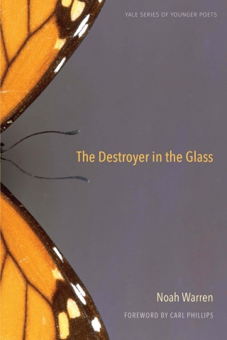 Omslagafbeelding: The Destroyer in the Glass 9780300217155