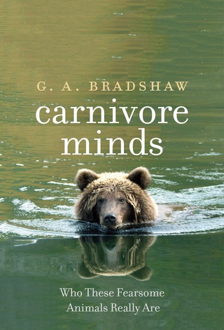表紙画像: Carnivore Minds 9780300218152