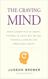 Omslagafbeelding: The Craving Mind: From Cigarettes to Smartphones to LoveWhy We Get Hooked and How We Can Break Bad Habits 9780300223248