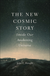 Cover image: The New Cosmic Story 9780300217032