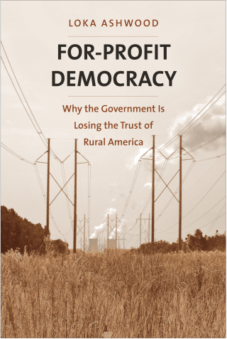 صورة الغلاف: For-Profit Democracy 9780300215359