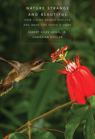 Cover image: Nature Strange and Beautiful 9780300244625