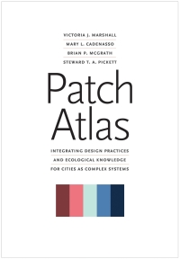 Titelbild: Patch Atlas 9780300239935