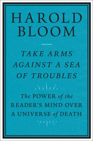 صورة الغلاف: Take Arms against a Sea of Troubles 9780300247282