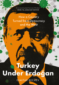 Cover image: Turkey Under Erdogan 9780300247886