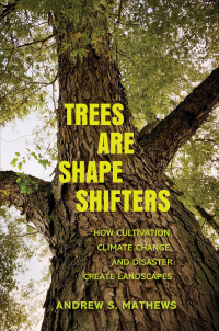 Imagen de portada: Trees Are Shape Shifters 9780300260373