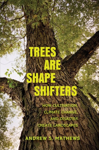 表紙画像: Trees Are Shape Shifters 9780300260373