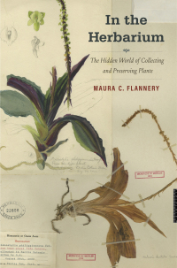 Cover image: In the Herbarium 9780300247916