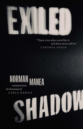 Imagen de portada: Exiled Shadow 9780300265729