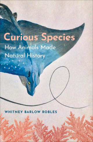 Cover image: Curious Species 9780300266184