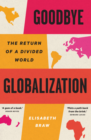 صورة الغلاف: Goodbye Globalization 9780300272277
