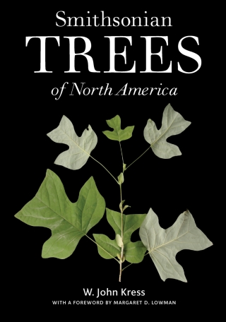 Cover image: Smithsonian Trees of North America 9780300185218