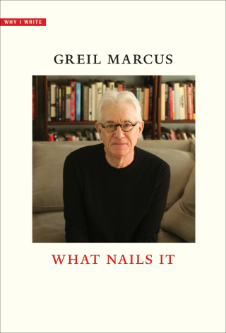 Cover image: What Nails It 9780300272451