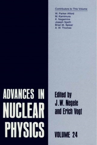 Imagen de portada: Advances in Nuclear Physics 1st edition 9780306457579