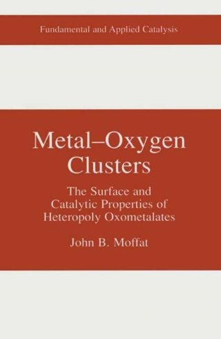 Imagen de portada: Metal-Oxygen Clusters 9780306465079