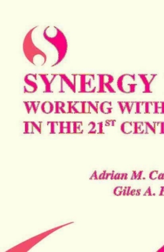صورة الغلاف: Synergy Matters 1st edition 9780306461866