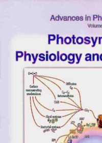 Cover image: Photosynthesis: Physiology and Metabolism 1st edition 9780792361435