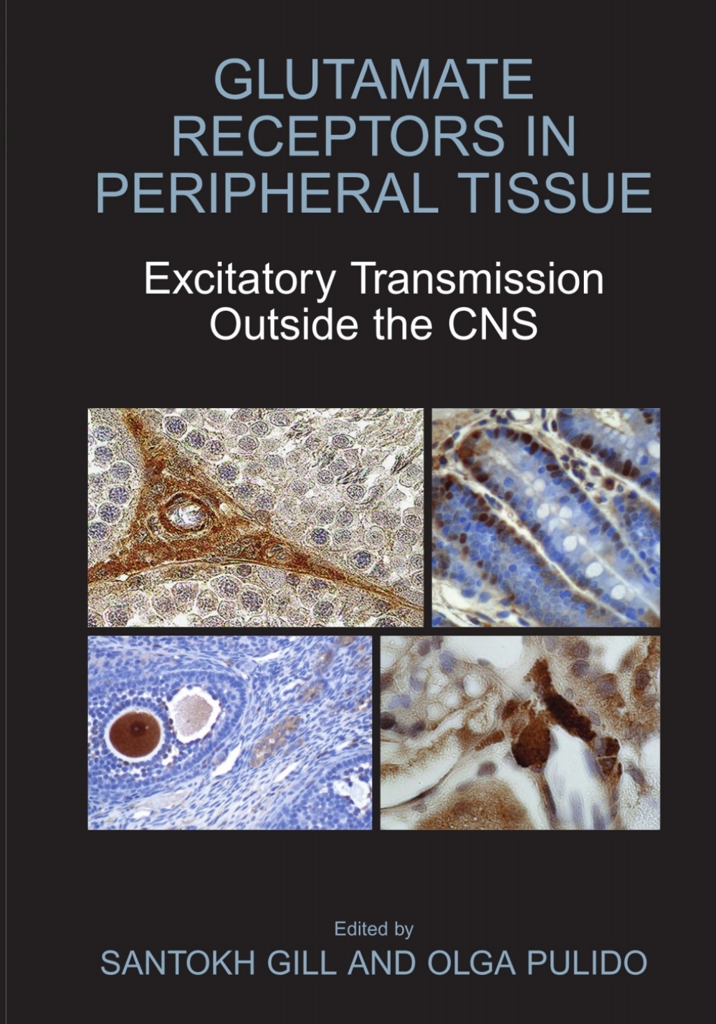 Glutamate Receptors in Peripheral Tissue Excitatory Transmission Outside the CNS 1st Edition